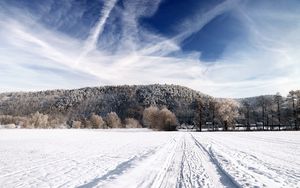 Preview wallpaper road, sky, white, country, frost, traces, trees, ease