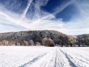 Preview wallpaper road, sky, white, country, frost, traces, trees, ease