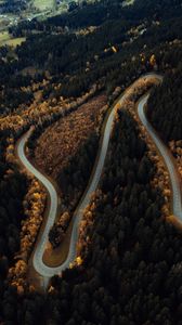 Preview wallpaper road, slope, forest, aerial view, nature