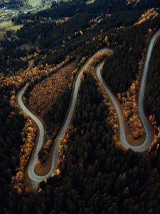 Preview wallpaper road, slope, forest, aerial view, nature