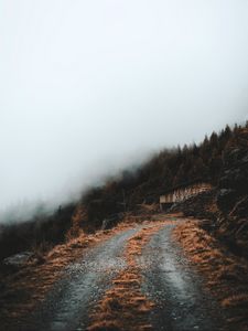 Preview wallpaper road, slope, trees, building, cloud