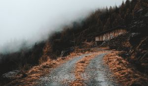 Preview wallpaper road, slope, trees, building, cloud