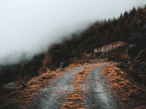 Preview wallpaper road, slope, trees, building, cloud