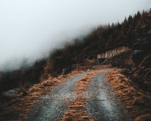 Preview wallpaper road, slope, trees, building, cloud