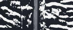 Preview wallpaper road, snow, aerial view, zebra