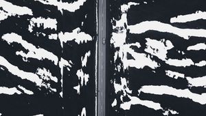 Preview wallpaper road, snow, aerial view, zebra