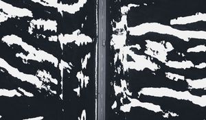 Preview wallpaper road, snow, aerial view, zebra