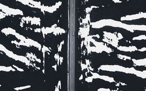 Preview wallpaper road, snow, aerial view, zebra