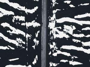 Preview wallpaper road, snow, aerial view, zebra