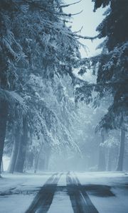 Preview wallpaper road, snow, fog, winter, trees, traces