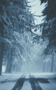 Preview wallpaper road, snow, fog, winter, trees, traces
