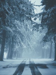 Preview wallpaper road, snow, fog, winter, trees, traces