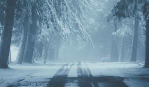 Preview wallpaper road, snow, fog, winter, trees, traces