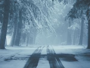 Preview wallpaper road, snow, fog, winter, trees, traces