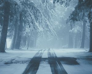 Preview wallpaper road, snow, fog, winter, trees, traces
