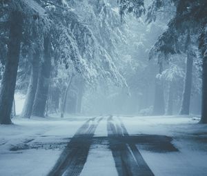 Preview wallpaper road, snow, fog, winter, trees, traces