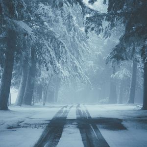 Preview wallpaper road, snow, fog, winter, trees, traces
