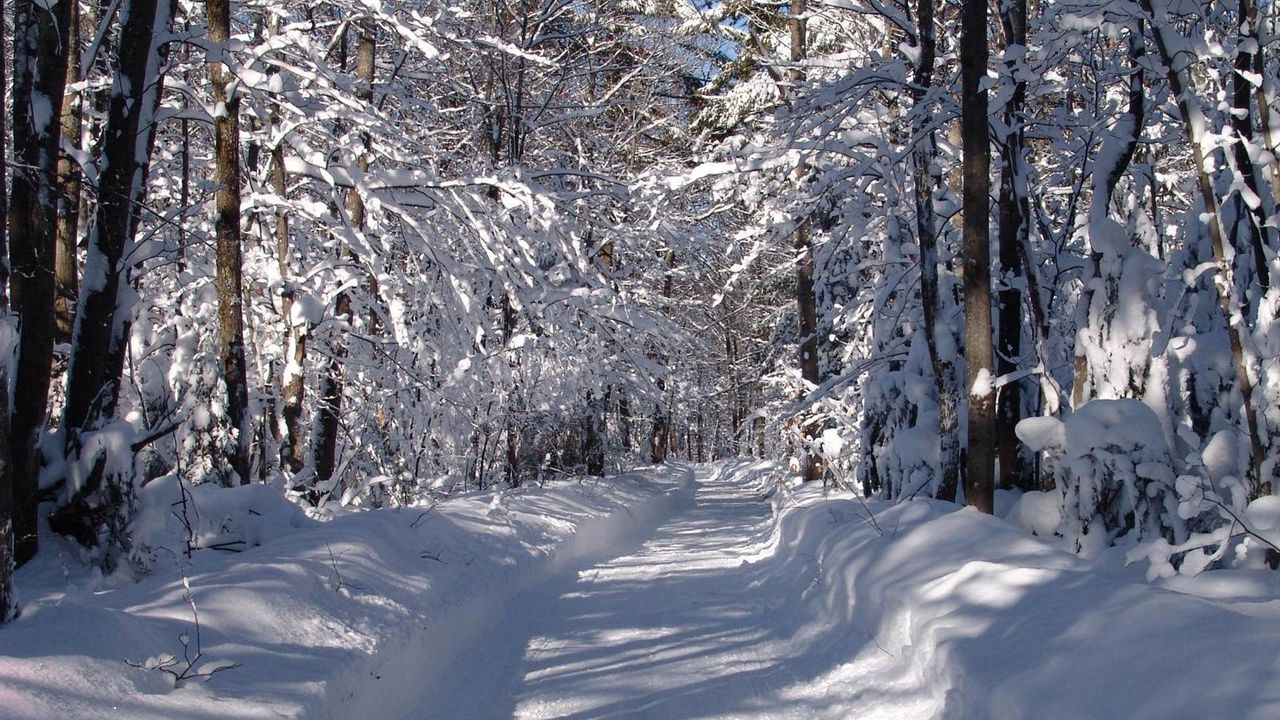 Wallpaper road, snow, snowdrifts, trees, wood
