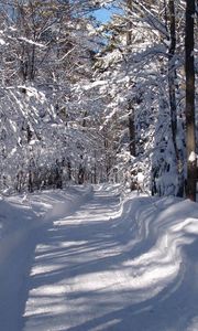 Preview wallpaper road, snow, snowdrifts, trees, wood