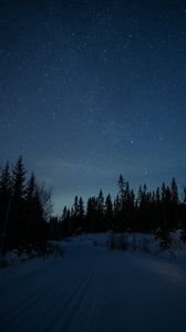 Preview wallpaper road, snow, stars, night, forest, winter