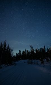 Preview wallpaper road, snow, stars, night, forest, winter