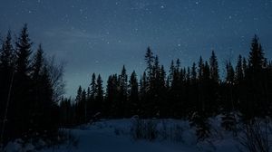 Preview wallpaper road, snow, stars, night, forest, winter