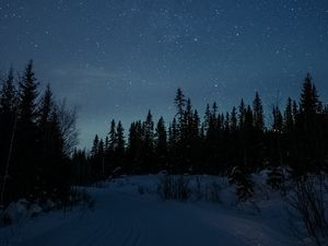 Preview wallpaper road, snow, stars, night, forest, winter