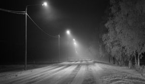 Preview wallpaper road, snow, streetlights, fog, winter, frost, trees