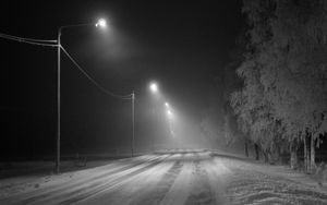 Preview wallpaper road, snow, streetlights, fog, winter, frost, trees
