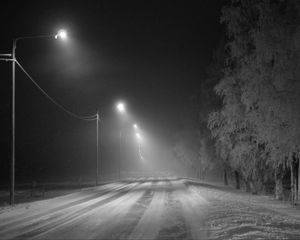 Preview wallpaper road, snow, streetlights, fog, winter, frost, trees
