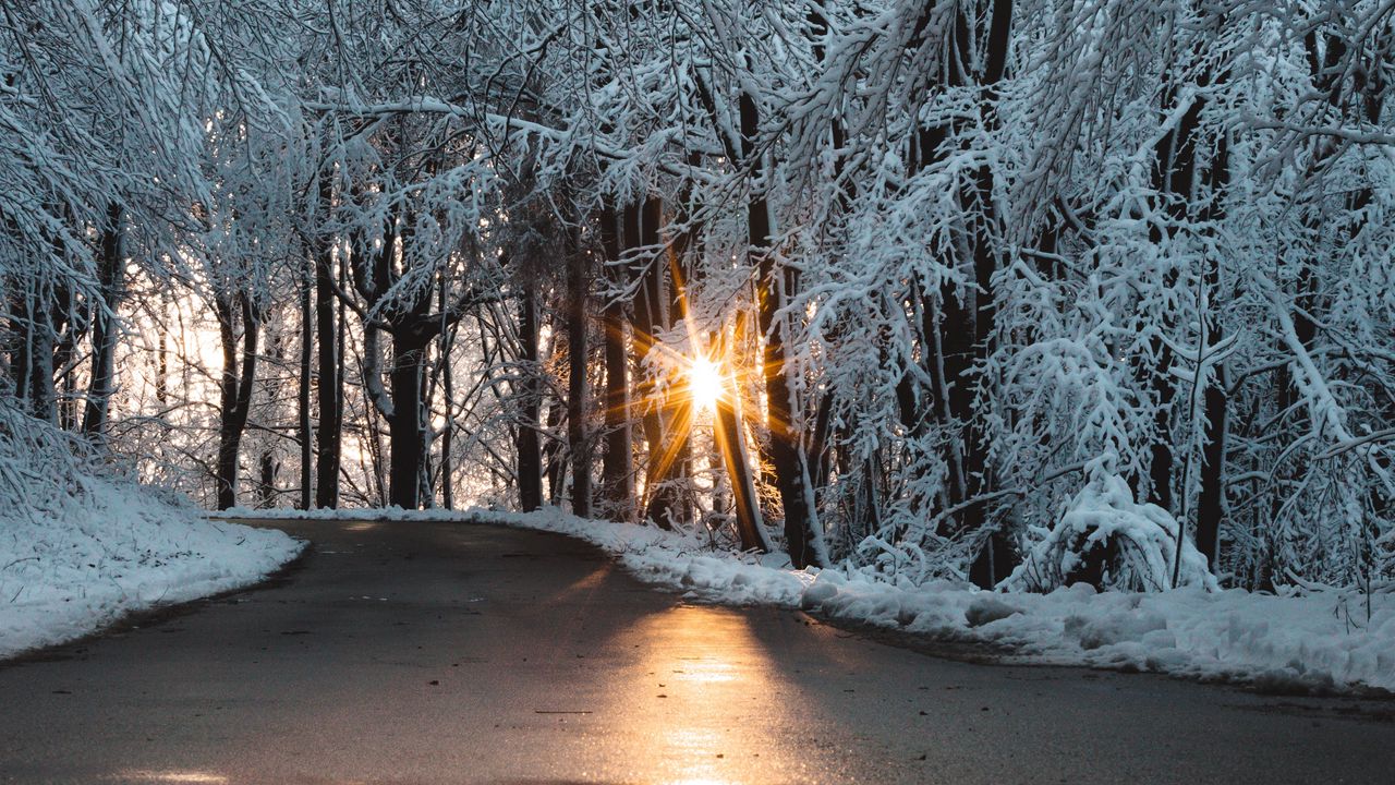 Wallpaper road, snow, sun, winter, nature
