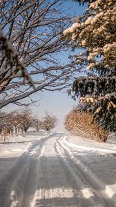 Preview wallpaper road, snow, trail, trees, winter