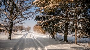 Preview wallpaper road, snow, trail, trees, winter