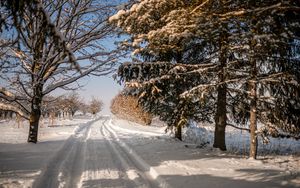 Preview wallpaper road, snow, trail, trees, winter