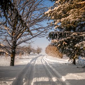 Preview wallpaper road, snow, trail, trees, winter