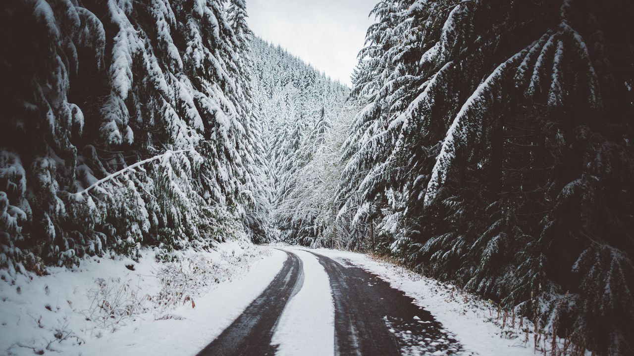 Wallpaper road, snow, trees, winter