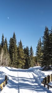 Preview wallpaper road, snow, trees, forest, winter, shadows, nature