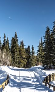 Preview wallpaper road, snow, trees, forest, winter, shadows, nature