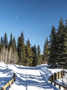 Preview wallpaper road, snow, trees, forest, winter, shadows, nature