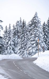 Preview wallpaper road, snow, trees, spruce, winter