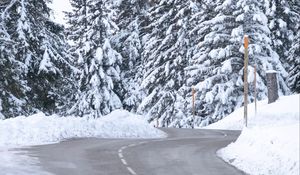 Preview wallpaper road, snow, trees, spruce, winter