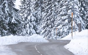 Preview wallpaper road, snow, trees, spruce, winter