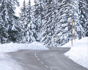 Preview wallpaper road, snow, trees, spruce, winter