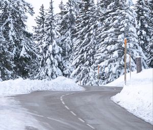 Preview wallpaper road, snow, trees, spruce, winter