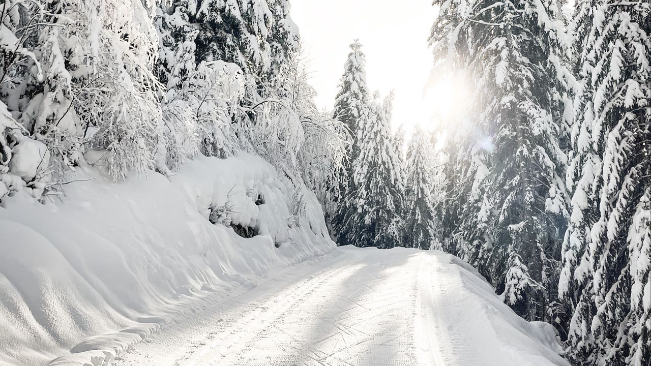 Wallpaper road, snow, trees, winter, snowy