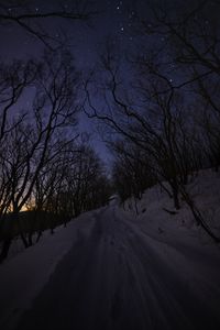 Preview wallpaper road, snow, trees, night, winter