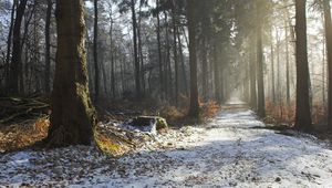 Preview wallpaper road, snow, trees, stub, wood, light, beams