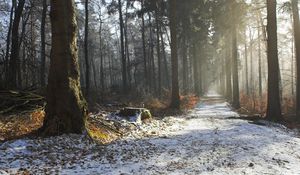 Preview wallpaper road, snow, trees, stub, wood, light, beams