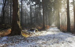 Preview wallpaper road, snow, trees, stub, wood, light, beams