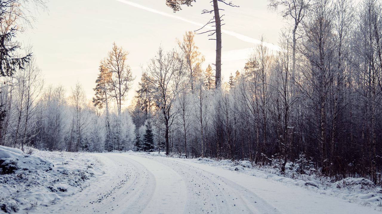 Wallpaper road, snow, trees, nature